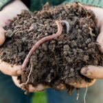 _130816677_gettyimages-653337614