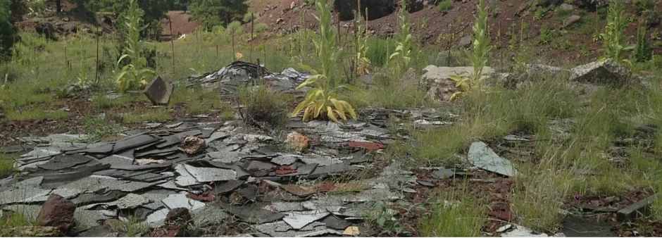 image-asset image-asset